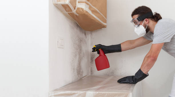 Professional Mold Testing technician working in Burnham, PA
